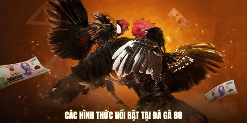 cac-hinh-thuc-da-ga-88-noi-bat