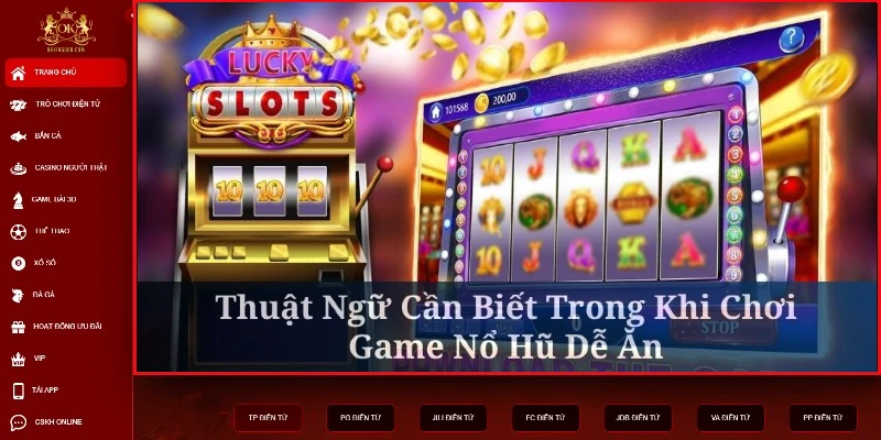 no-hu-de-an-thuat-ngu-can-biet