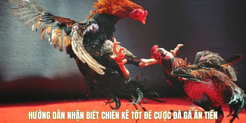 huong-dan-nhan-biet-chien-ke-de-tham-gia-da-ga-an-tien