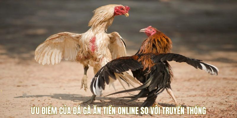 uu-diem-da-ga-an-tien-online